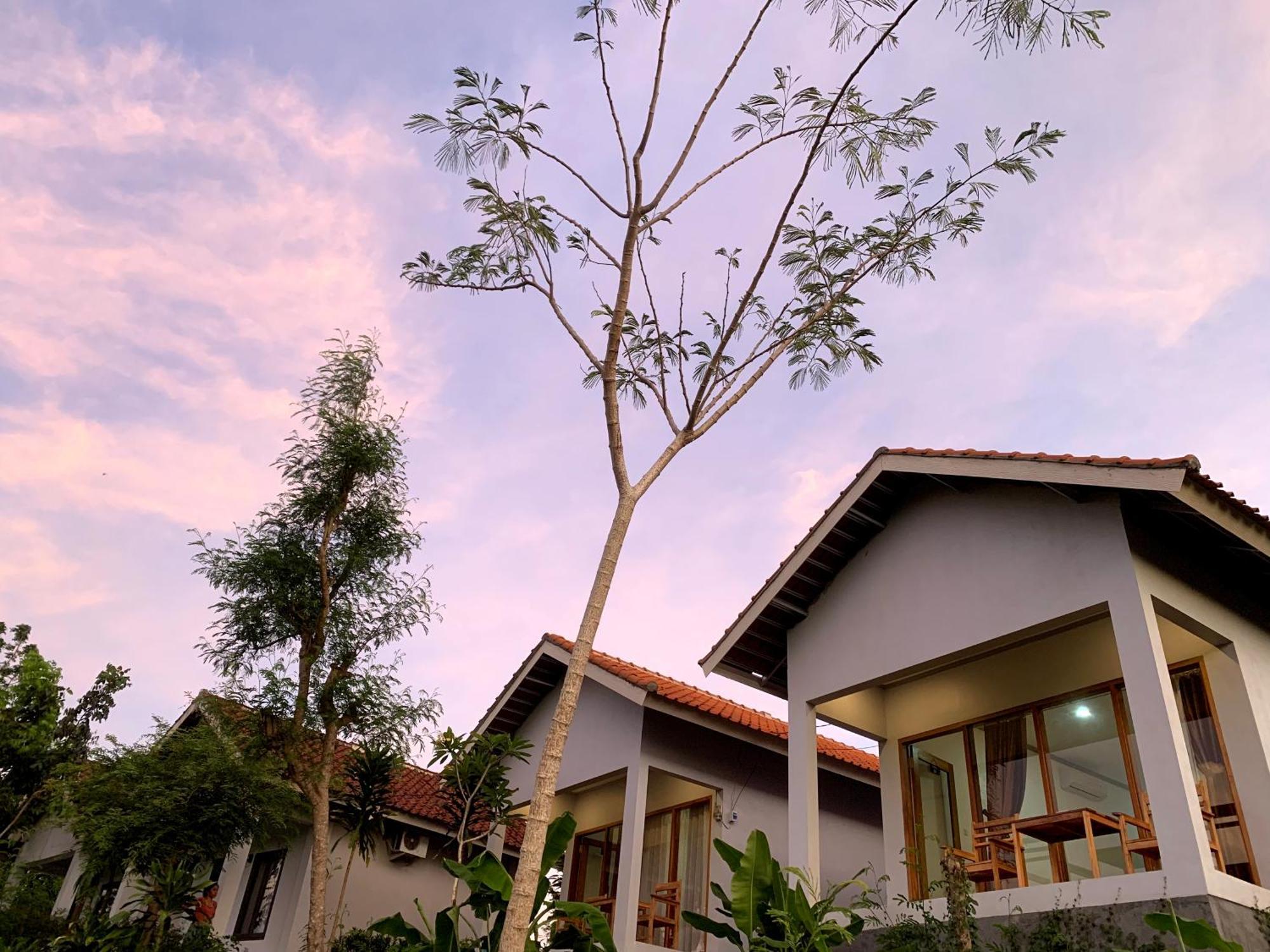 Tommy Homestay Plambi Εξωτερικό φωτογραφία